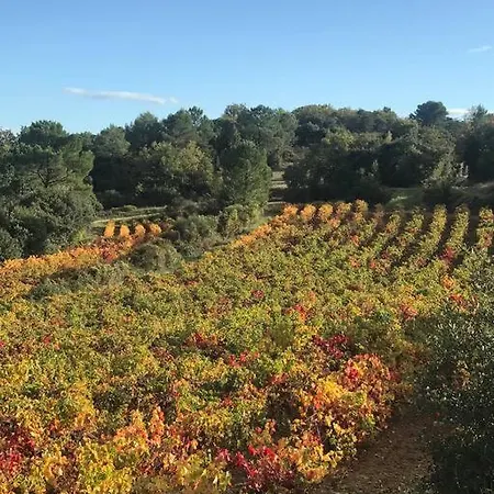 Βίλα Mas Piscine Au Milieu Des Vignes Avec Vue Magique Saint-Andre-d'Olerargues